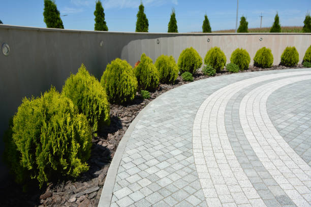 Best Driveway Repair Near Me  in Freedom, CA